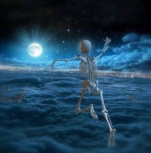 Meet your Posher, Douglas